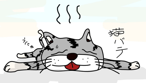 猫が熱中症を患った際の症状